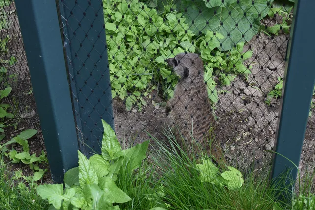 Small Modern Apartment Vienna - Seidlgasse