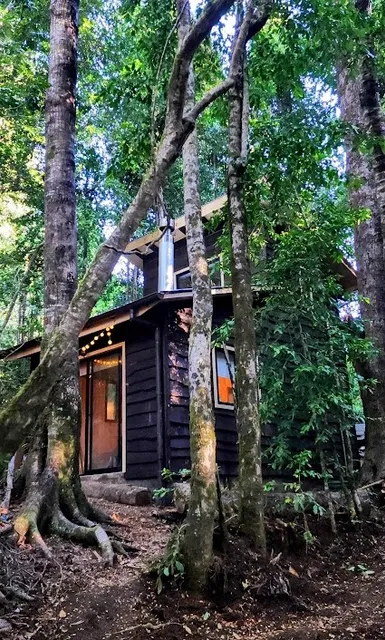 Cabañas Alto del Bosque