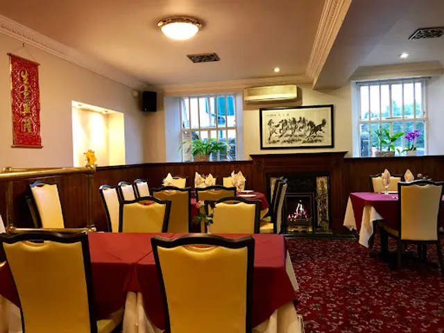 Maple Tree in Marple Bridge