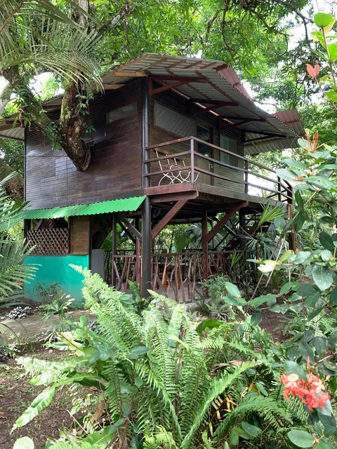 Playa Grande Lodge &tree House