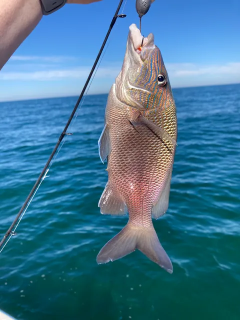 Wet Lines Fishing and Pontoon Charters