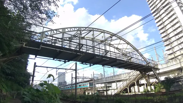 Asukayamashitakosenjindo Bridge