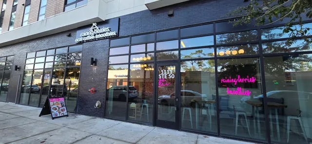 Raining Berries - Gainesville