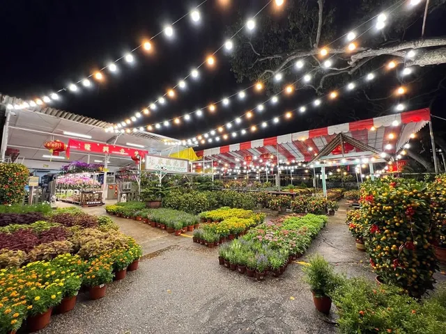 Lai Seng Nursery | Landscape Services