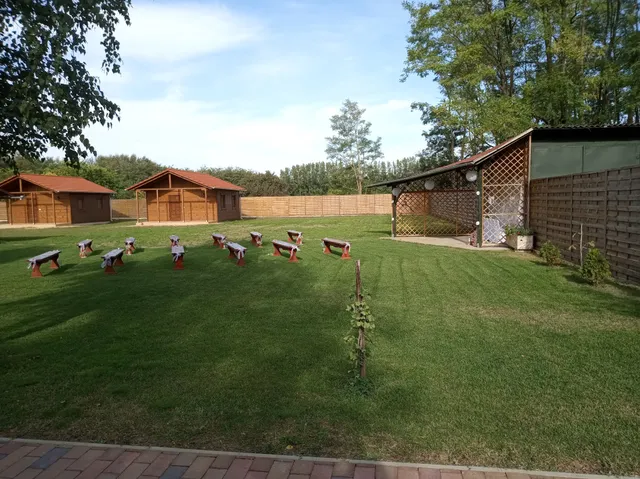 Király és Társa Kft.