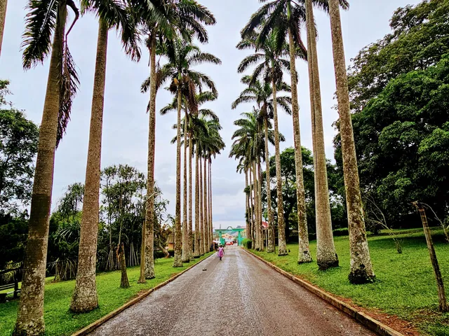 Aburi Botanical Gardens & Park | TortoisePath.com
