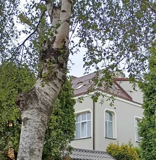 Pokoje gościnne Belle Epoque