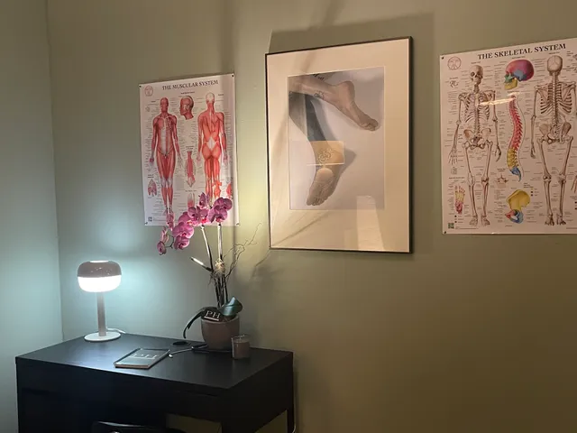 Professional Human MT LLC