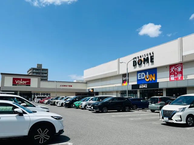 エディオン 岡崎大樹寺店