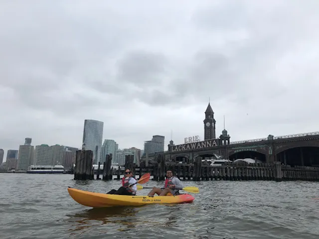 Resilience Paddle Sports