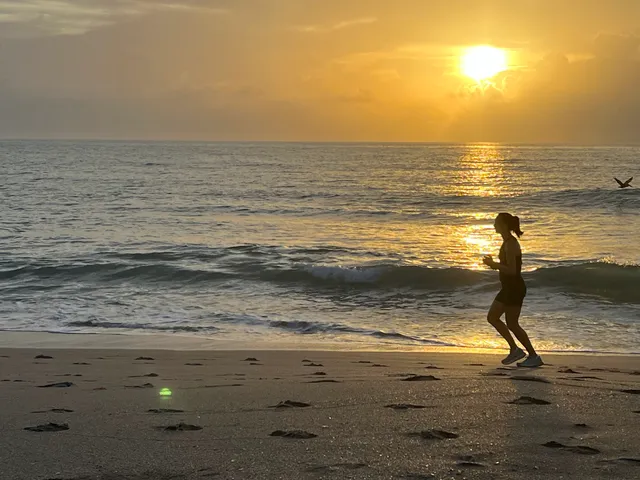 Hutchinson Island Real Estate