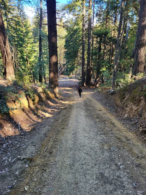 Kings Mountain Archery