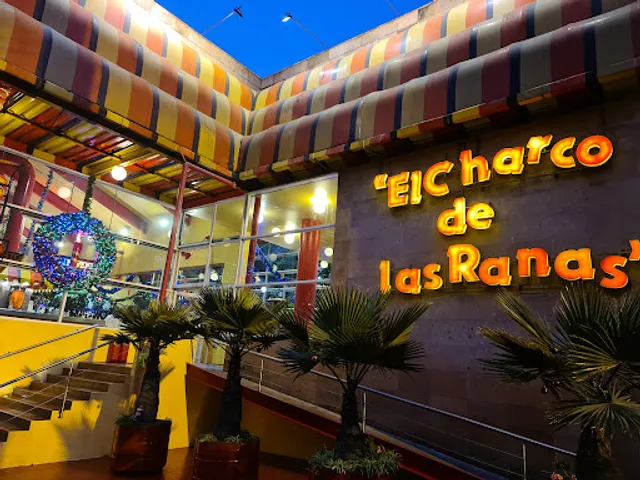 El Charco de las Ranas 3 - Pedregal