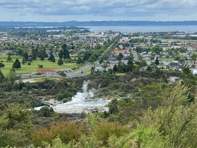 Pohaturoa Track Whaka lower Lookout