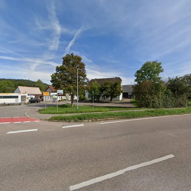 Gasthaus Grűner Baum