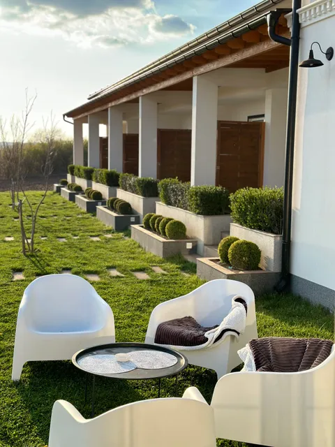 Magnolia by Radovanovic