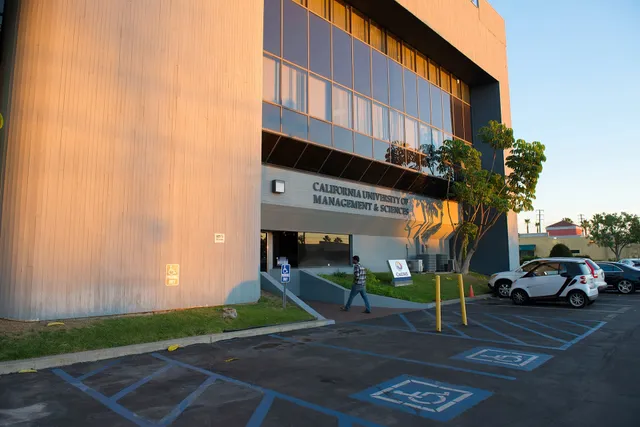 California University of Management & Sciences