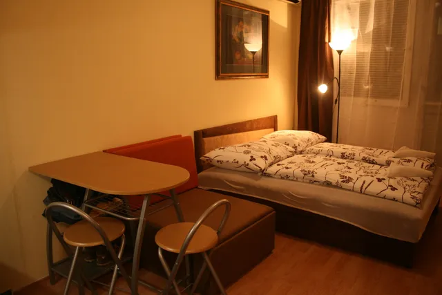 Victor Hugo Central Apartment