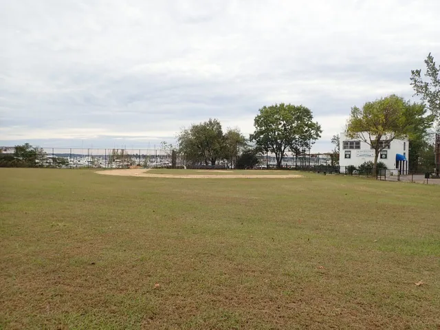 Ambrosini Field
