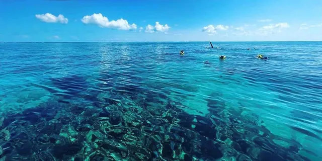 Marathon Snorkeling & Sunset Cruise