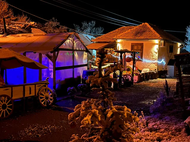 Villa Milica & SPA Aleksandra, Poganovo