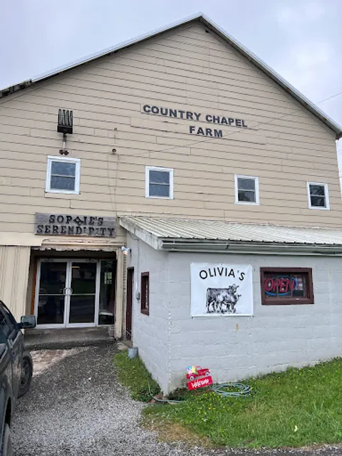 Sophie's Serendipity