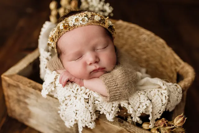 Joey Winn Portrait Studio