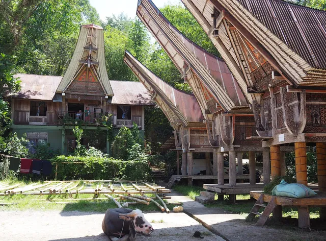 Ne Pakku Manja Homestay