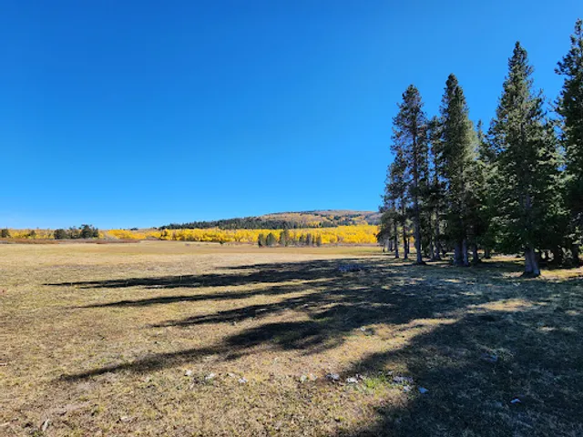 Modoc National Forest