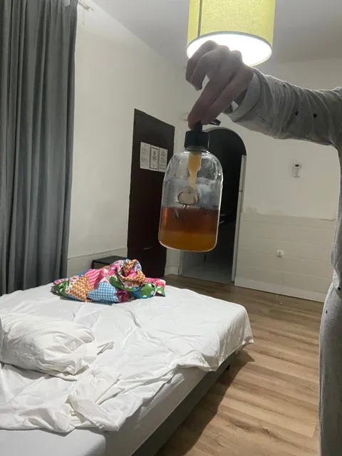 Apartamento el Jardín de los Monos