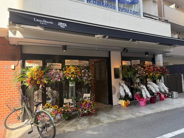 Libero Bracelia TOKYO