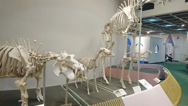 Kobe Oji Zoo, Zoological Science Center