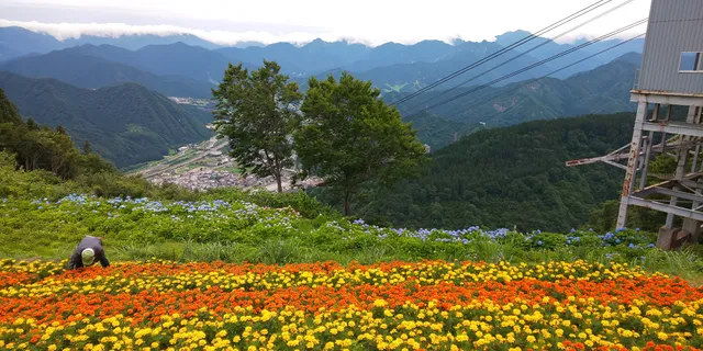 Yuzawa Kogen Alpine Botanical Garden