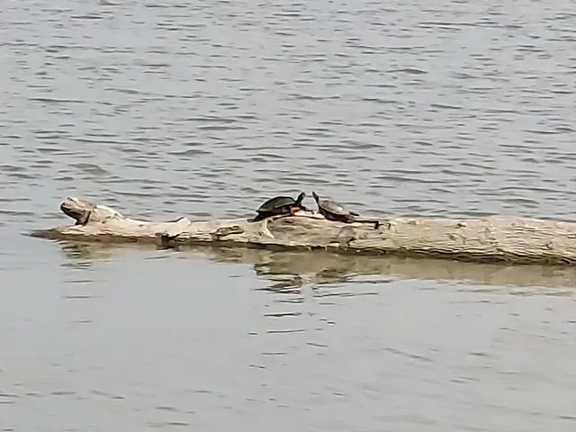 Walking Trails at White Rock