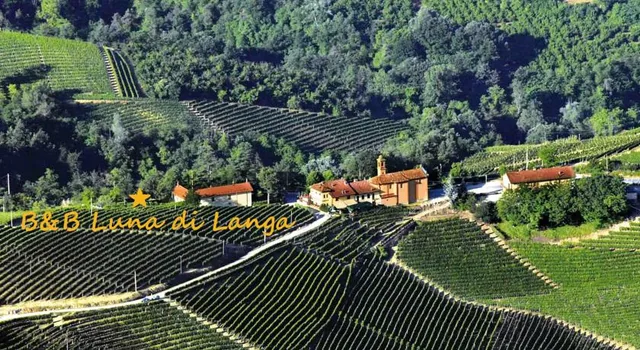 B&B Luna di Langa