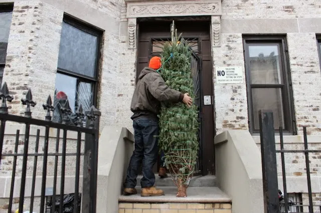 Christmas Tree Brooklyn