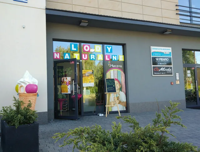 MLECZNA Lody Naturalne