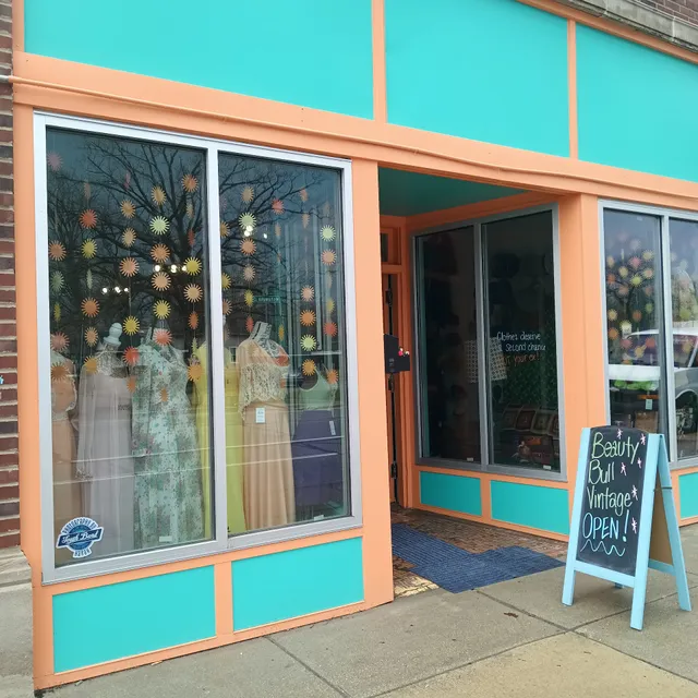 Beauty Bull Vintage LLC