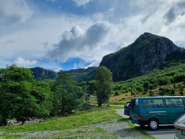 The Fairytale Forest