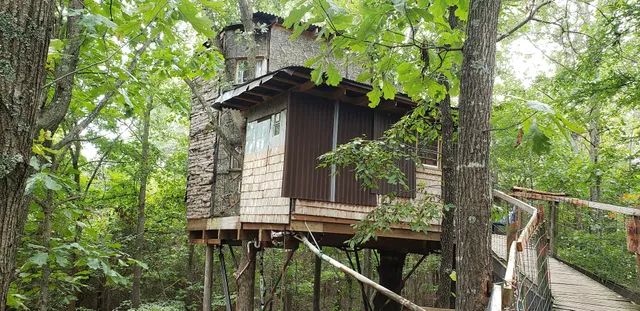Bigfoot's Treehouse