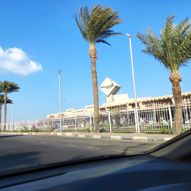 Beach Albatros The Club