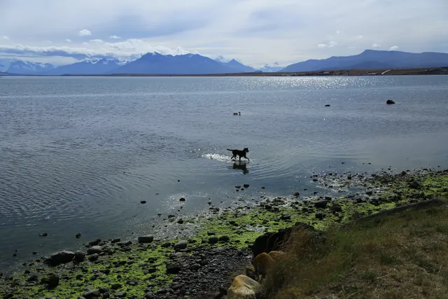 Muelle Braun & Blanchard