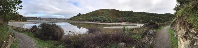 Kaitawa Point Whitireia Park