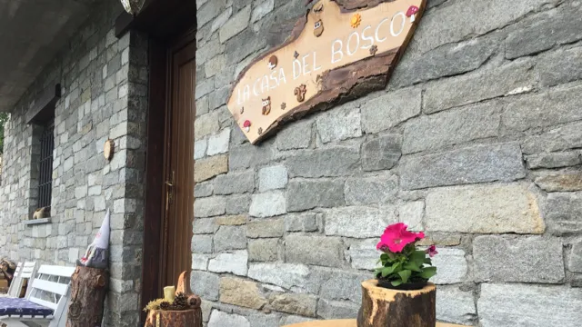 La casa del bosco