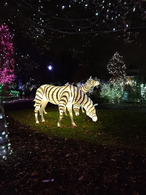 North Parking Lot at Cincinnati Zoo & Botanical Garden