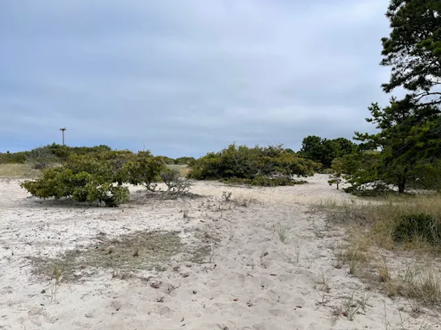 Sound View Dunes Park