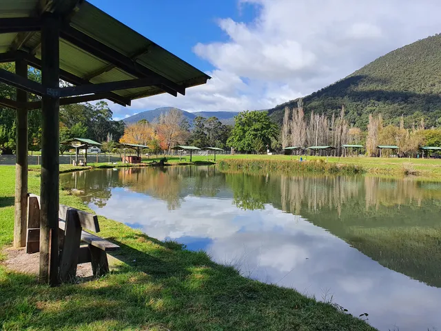Tommy Finn's Trout Farm