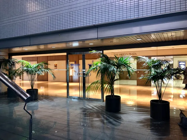 The Hilton Plaza East