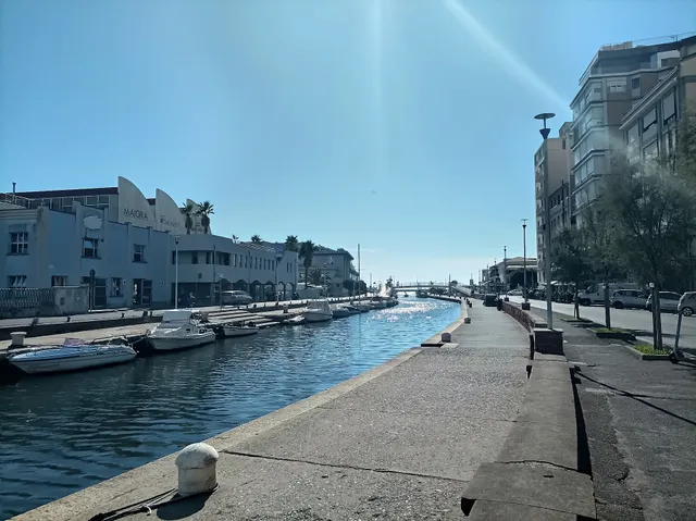 Viareggio sul Mare