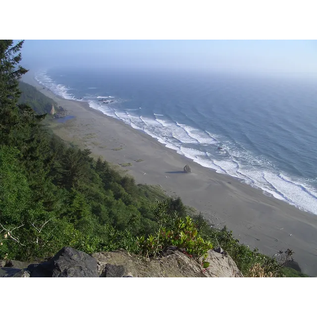 Body Ecology - Therapeutic Massage & Healing Arts Hub